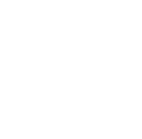 Logo Palta
